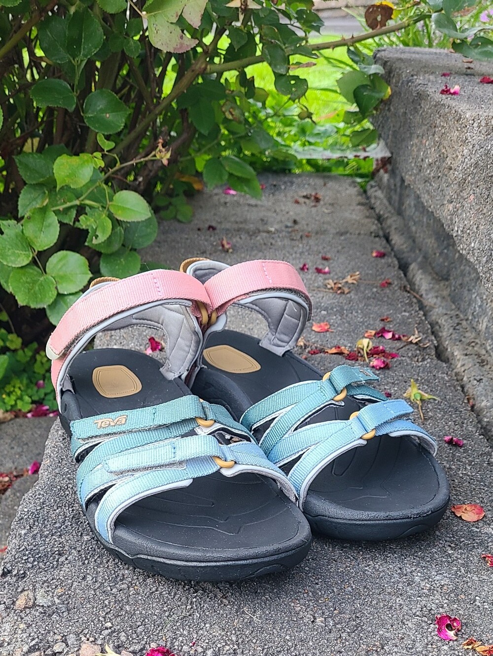 Teva Women's Tirra Sandals